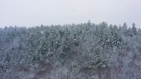 Flying-towards-a-snow-covered-evergreen-ridge-during-a-blizzard-AERIAL-SLOW-MOTION