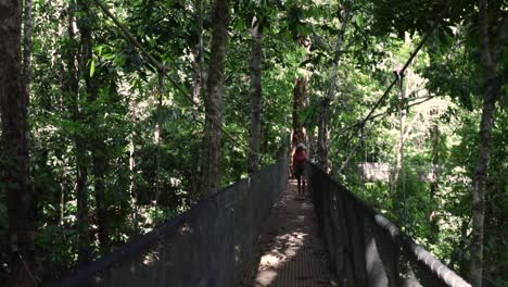 Mujer-Exploradora-Caminando-En-Un-Puente-Colgante-En-Un-Bosque-Tropical