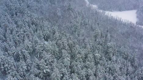 Flying-slowly-down-an-evergreen-hillside-during-a-blizzard-SLOW-MOTION-AERIAL