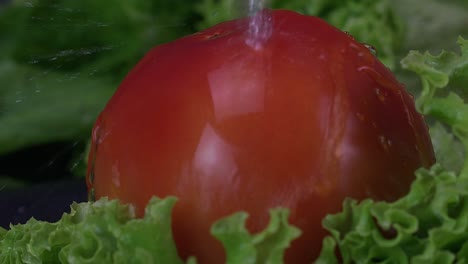 Water-drops-fall-down-and-wash-the-skin-of-a-juicy-tomato-in-slow-motion