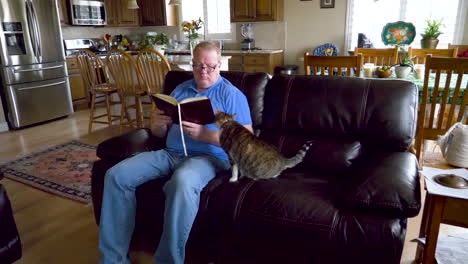 A-man-tries-to-read-a-book-while-his-pet-cat-begs-for-attention