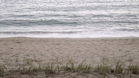 Strandsand-Und-Wellenmeerhintergrund-Und-Ein-Vordergrund-Mit-Einem-Grünen-Heu