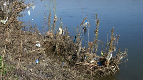 Contaminación-Plástica-A-Lo-Largo-De-Las-Orillas-Del-Río-Mosa,-Francia