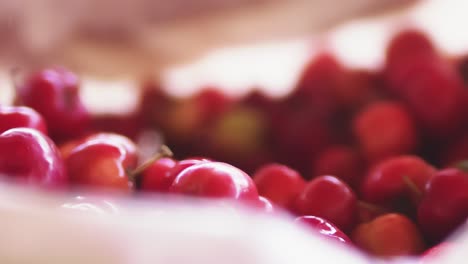 Freshly-picked-acerola-cherries-drop-into-a-basket
