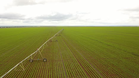 Luftaufnahme-Eines-Industriellen-Bewässerungssystems-In-Einem-Getreidefeld-In-Südamerika