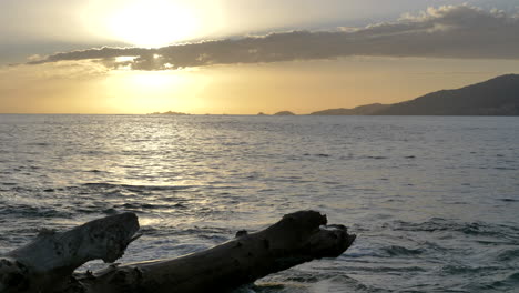 Gorgeous-sunset-at-Ajaccio-bay,-tree-trunk,-driftwood-on-the-foreground