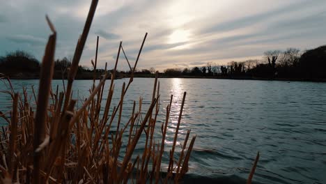 Weitwinkelaufnahme-Eines-Sonnenuntergangs-über-Einem-See,-Geschnittenes-Schilf-Im-Vordergrund
