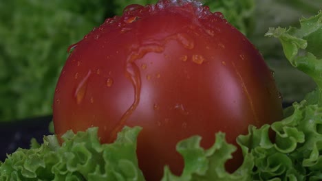 Water-droplets-bead-off-of-a-juicy-tomato-in-slow-motion