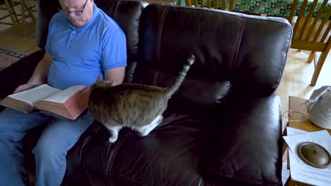 As-a-senior-man-reads-the-Holy-Bible,-his-pet-cat-rubs-against-him-trying-to-get-attention