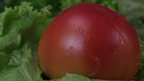 Water-droplets-fall-onto-a-plump-juicy-tomato-and-then-stop,-as-the-tomato-rotates