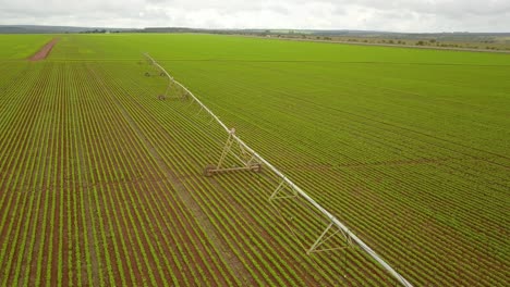 Drohne-über-Einem-Bewässerungssystem-In-Einem-Getreidefeld-In-Brasilien-Geschossen