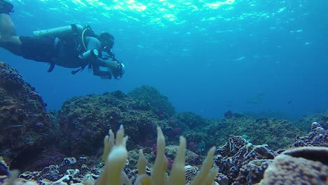 Ein-60-fps-Video-Eines-Unterwasserkameramanns,-Der-Im-Ozean-Meereslebewesen-Mit-Unterwasserausrüstung-Und--lichtern-Fotografiert