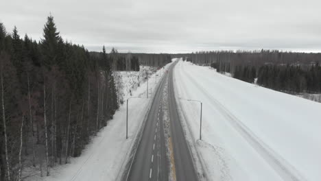 Aerial,-drone-shot,-over-a-small-truck,-on-road-6,-surrounded-by-snowless-trees,-on-a-cloudy,-winter-day,-in-Kontionlahti,,-North-Karelia,-Finland