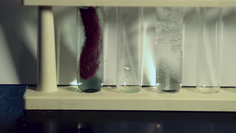Solución-Transparente-De-Nitrato-De-Plata-Añadida-A-Un-Tubo-De-Ensayo-En-Una-Gradilla-Que-Contiene-Otra-Gradilla-Que-Tiene-Una-Reacción-De-Desplazamiento-Simple-Completa