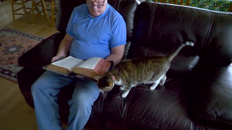 A-senior-man-reads-the-Holy-Bible-in-a-calm-home-with-his-next-to-him-cat-stretching-and-relaxing