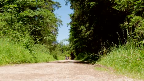 wide-shot-of-a-young-family-going-for-a-walk-in-the-forest
