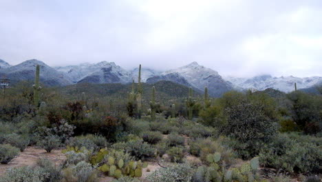 Paisaje-Desértico-Verde-Seco-De-La-Campiña-De-Tucson-En-La-Temporada-De-Invierno-Con-Montañas-En-El-Fondo