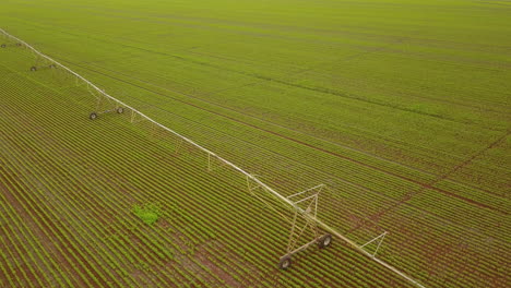 Ein-Bewässerungssystem-Erstreckt-Sich-über-Ein-Getreidefeld-In-Brasilien