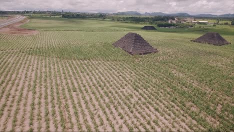 Ruhige-Zuckerrohrfelder-Mit-Von-Menschenhand-Geschaffenen-Steinpyramiden-Im-Landesinneren-Der-Insel-Mauritius