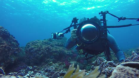 Ein-60-fps-Video-Eines-Unterwasserkameramanns,-Der-Mit-Unterwasserausrüstung-Und-Blitzlichtern-Fotos-Von-Anemonenfischen-Im-Ozean-Macht