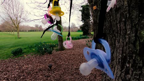 Creepy-mysterious-baby-bottle-nipples-hanging-from-a-tree,-moving-shot