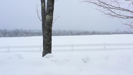Aerial-slide-along-a-white-picket-fence-on-the-edge-of-a-snow-covered-field-past-two-trees-during-a-snow-storm-SLOW-MOTION