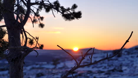 Winter-Wonderland-Sunset-Glow,-Golden-Hour-Landscape