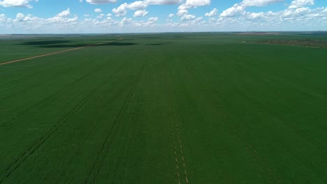Aerial-panoramic-of-a-soybean-plantation-on-a-sunny-day-in-Brazil