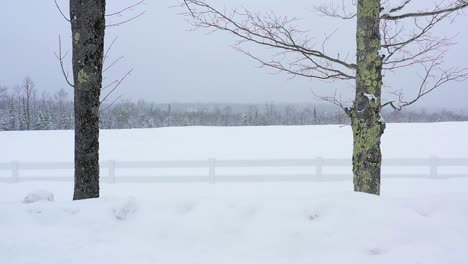 AERIAL-PUSH-in-between-two-trees-and-over-the-white-picket-fence-on-the-edge-of-a-snow-covered-field-during-a-blizzard-SLOW-MOTION