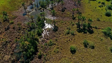 Aerial-footage-of-a-tropical-wetland-reserve-in-the-Cerrado-region,-Brazil