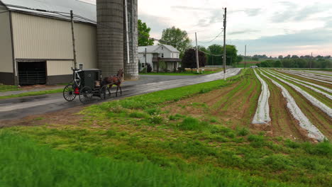 Luftkamerafahrt-Von-Amish-Pferd-Und-Buggy,-Die-An-Einer-Farm-Vorbeifahren