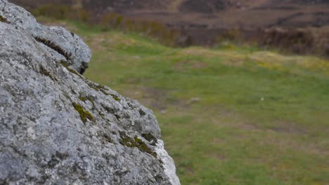 Kippen-Sie-Den-Rack-Pull-Fokus-Shot,-Von-Einem-Grauen-Felsen-Zu-Zwei-Dritteln-Des-Hintergrundsees-In-Wicklow,-Irland