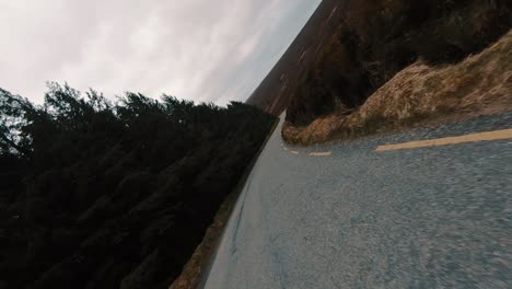 Unique-angle,-POV-shot-as-driving-by-a-pine-tree-forest-on-a-burned-out-landscape-in-Ireland