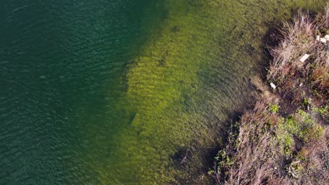 A-clear-glass-like-water-of-river-is-being-photographed-with-a-drone-surrounded-by-many-plants
