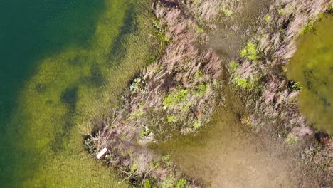 Aerial-shot-of-lake-island-in-norfolk-carp-fish