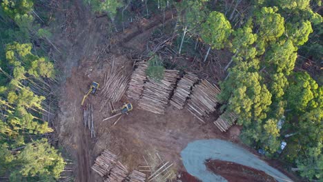 Vertical-drone-footage-of-salvage-tree-logging-activities-then-panning-up-across-the-Wombat-State-Forest-near-Lyonville,-Victoria,-Australia