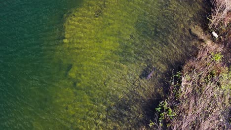 Aerial-shot-of-lake-with-island-shot
