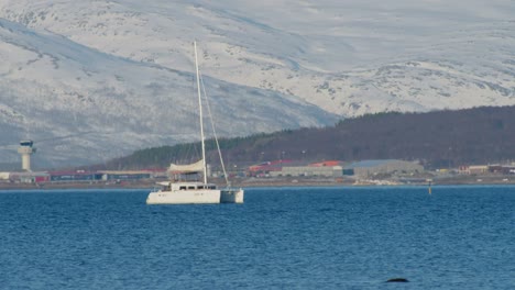 Kleines-Weißes-Boot,-Das-Entlang-Des-Fjords-In-Nordnorwegen-Segelt,-Teleaufnahme-In-Zeitlupe-Mit-60-Bildern-Pro-Sekunde,-Kamerabewegung