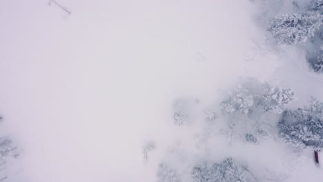 Top-down-drone-aerials-of-snowy-pine-forest,-taiga-tundra-Levi,-Finland-neighborhood