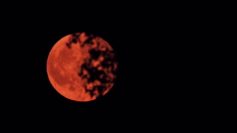 Schöner-Roter-Mond-Bewegt-Sich-Schnell-Hinter-Den-Schwarzen-Zweigen-Der-Bäume
