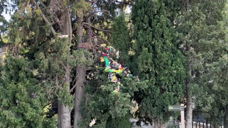 Traditional-fully-colored-pigeons-in-a-tree,-Spain