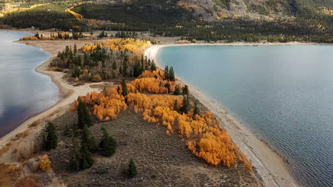 Twin-Lakes,-Colorado-USA-on-Autumn-Season,-Aerial-View-of-Beach-and-Colorful-Groves,-Drone-Shot