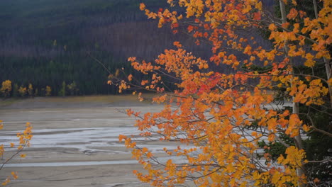 Mountain-Lake-and-Orange-Tree-Leaves-at-Fall-Peak,-Autumn-Landscape-Scenery