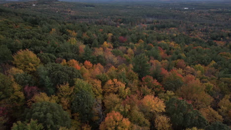 Aerial-View-Forest-Fall-Colors,-Vivid-Autumn-Landscape-in-Countryside-of-Colorado-USA,-Drone-Shot