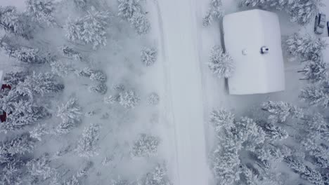 Top-down-aerial-drone-of-Levi,-Finland-snowy-neighborhood-with-roads-and-cabins