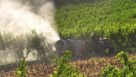 Farmer-on-tractor-sprays-chemicals-on-fruit-orchard-trees