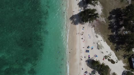 4K-Filmische-Drohnenaufnahme-Von-Weißem-Sand-Und-Strandbesuchern-Im-Kontrast-Zu-Klarem-Blauem-Wasser-Am-Strand-Von-Kailua-In-Oahu