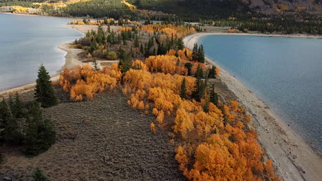 Aerial-View-of-Scenic-Coastline-of-Twin-Lakes-Colorado-USA,-Trees-in-Autumn-Colors,-Drone-Shot