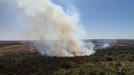 Aerial-view-of-fire-in-Cerrado-biome-native-forest,-fire,-danger,-deforestation