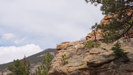 Lonely-Mountain-Goat-Climbing-Rocky-Cliff-In-Rocky-Mountains-Colorado